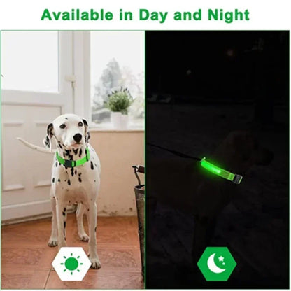 the LUMAGLOW ANTI-LOST COLLAR - LED Glowing Dog Collar, Adjustable Flashing Rechargeable Luminous Collar, Night Anti-Lost Dog Light Harness for Small Dog, Pet Products