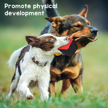 Dog Toy Training Chew  Interactive Tear Resistant Multifunctional Dog Teeth Grinding Bite  for Pet Exercise Dog Bite Toy