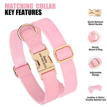 the MY NAME MY PAWS CUSTOM SET - Personalized Dog Collar/Leash Set, Custom PU Leather Dog Buckle Collars/Necklace, Pet Walking Leash for Small/Medium Dogs, Pitbull