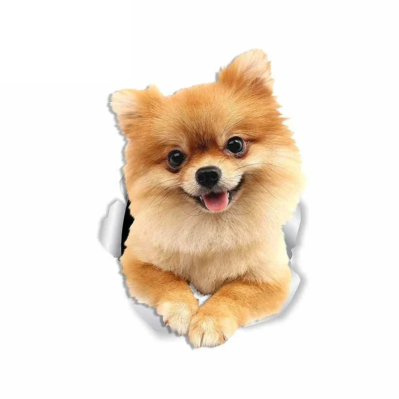 Dog Personality PVC Decal Pomeranian Waterproof Wear resistant Car Sticker on Motorcycle Laptop Decorative Accessories