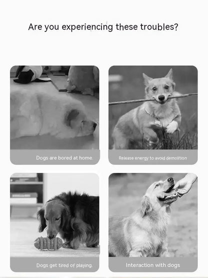 Dog Toys Bouncing Ball Throw Disc Ball with LED Light Toy Kid Outdoor Garden Basketball Game Interesting Throw UFO Disc Balls