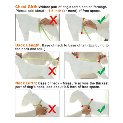 Soft Flannel Small Dog Clothes Winter Warm Puppy Cat Sweater Coat Chihuahua Pet Clothing Jumpsuit for Small Medium Dogs Yorkie