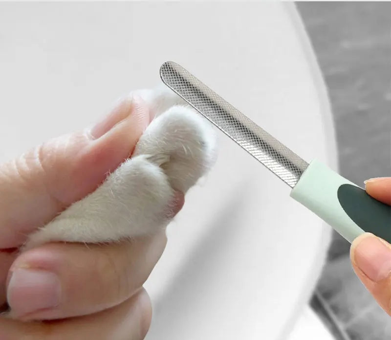 the BEAUTY TOOL SET - 8-in-1 Dog/Cat Grooming Comb Set, Pet Cleaning Brush Tool Set, Pet Multi-Functional Cleaning Set, Cat/Dog Hair Removal Brush Kit