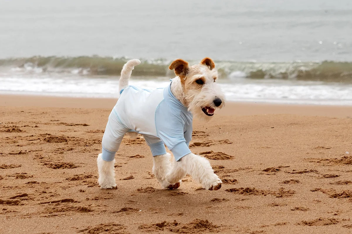 Summer Cooling Dog Vest Shirt UPF50+ Sun Protection Dog Jumpsuit Fast Drying Dirt-Proof Dog Clothing Soft Summer Outdoor Overall