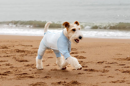 Summer Cooling Dog Vest Shirt UPF50+ Sun Protection Dog Jumpsuit Fast Drying Dirt-Proof Dog Clothing Soft Summer Outdoor Overall