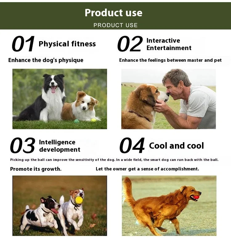 the FETCHBLASTER LAUNCHER - Hot Selling Pet Dog Toy Serving Gun, Training Dog Throwing Ball Launcher, Pet Outdoor Tennis Shooting