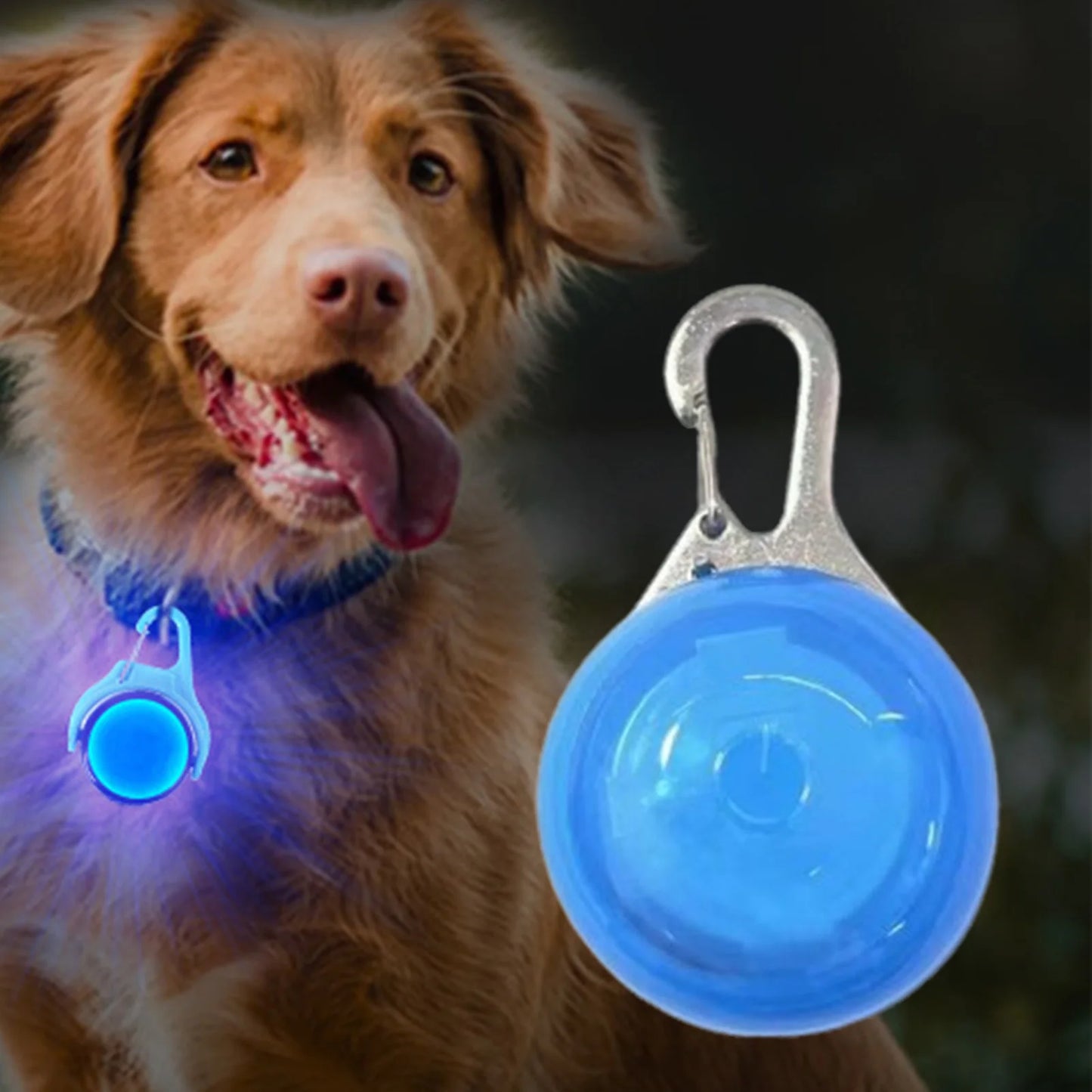 the GLOW PAWS SAFETY PENDANT - LED Glow Dog Collar Pendant, Light Up Pet Accessories, Night Safety Walking for Cat/Dog Small/Medium/Large