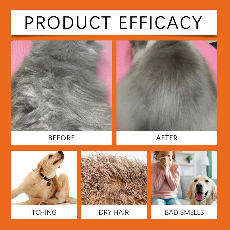 the SHAGGY SHAMPOO - 100ml Natural Ingredients Safe Efficient Formula, Pet Shampoo for Dogs & Cats, Removes Odor & Itch, Tangle, Flea & Insect Repellent