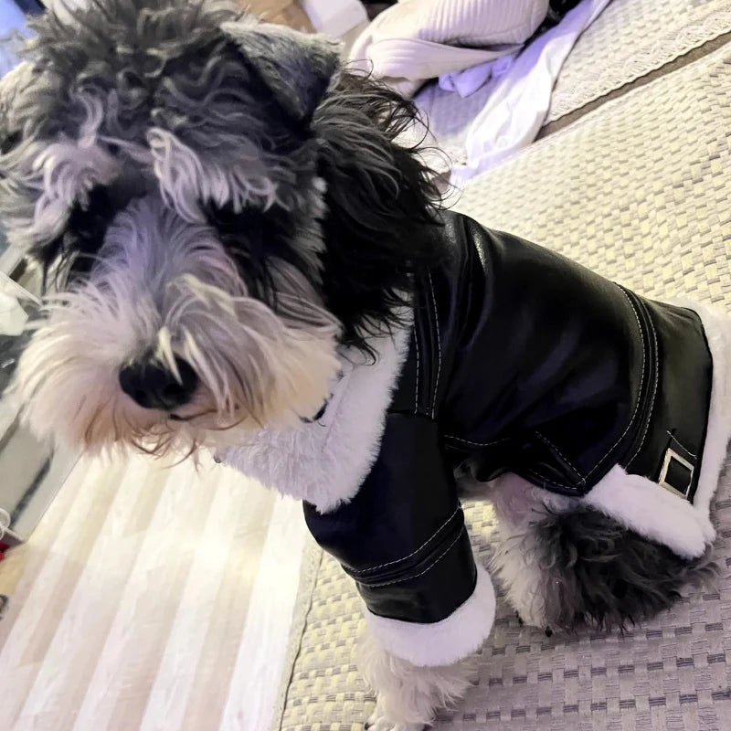 the BIKER DOG - Thickened Fur Integrated Motorcycle Jacket, Pet Clothes, Winter Clothing, Small Dog, Teddy, Pomeranian, Schnauzer