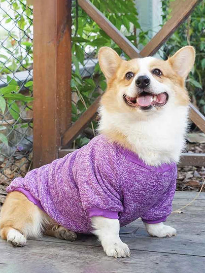 Dog Sweatshirts For Medium and Large Pet Golden Satsuma Huskies Border Collies Autumn and Winter Clothes Pet Supplies Clothing