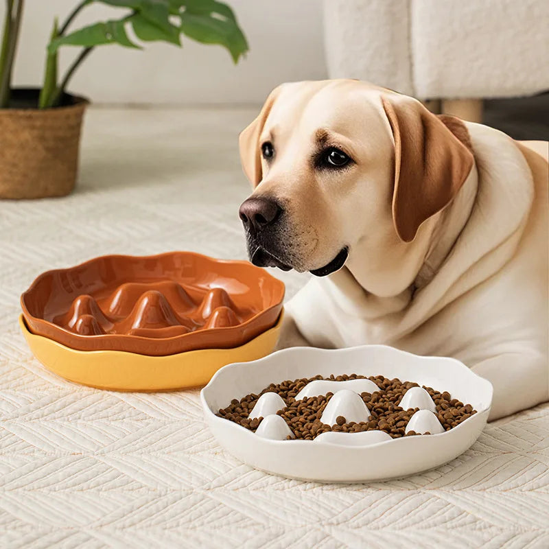 Slow Feeder Dog Bowl Large, Non-Slip Pet Food Dish for Medium Giant Dogs Like Labrador To Prevent Choking & Bloat