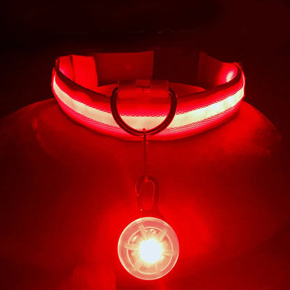 the LUXEGLOW LED SAFTERY COLLAR - USB Charging Glowing Dog Collar with Pendant, Detachable Luxury LED Light, Bright for Small Dogs/Cats, Night Safety Collar