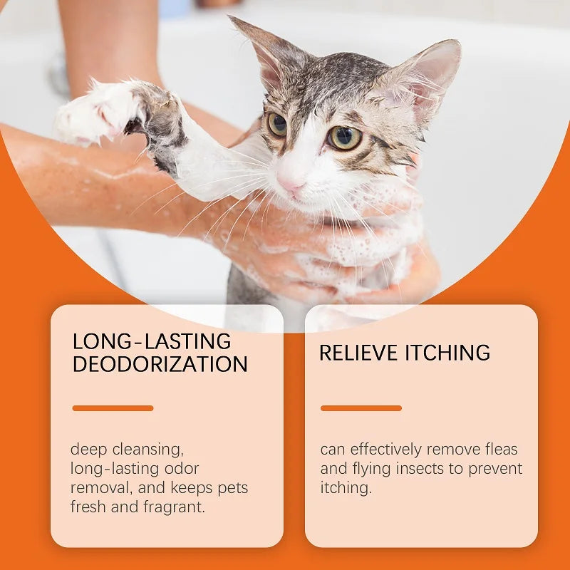 the SHAGGY SHAMPOO - 100ml Natural Ingredients Safe Efficient Formula, Pet Shampoo for Dogs & Cats, Removes Odor & Itch, Tangle, Flea & Insect Repellent