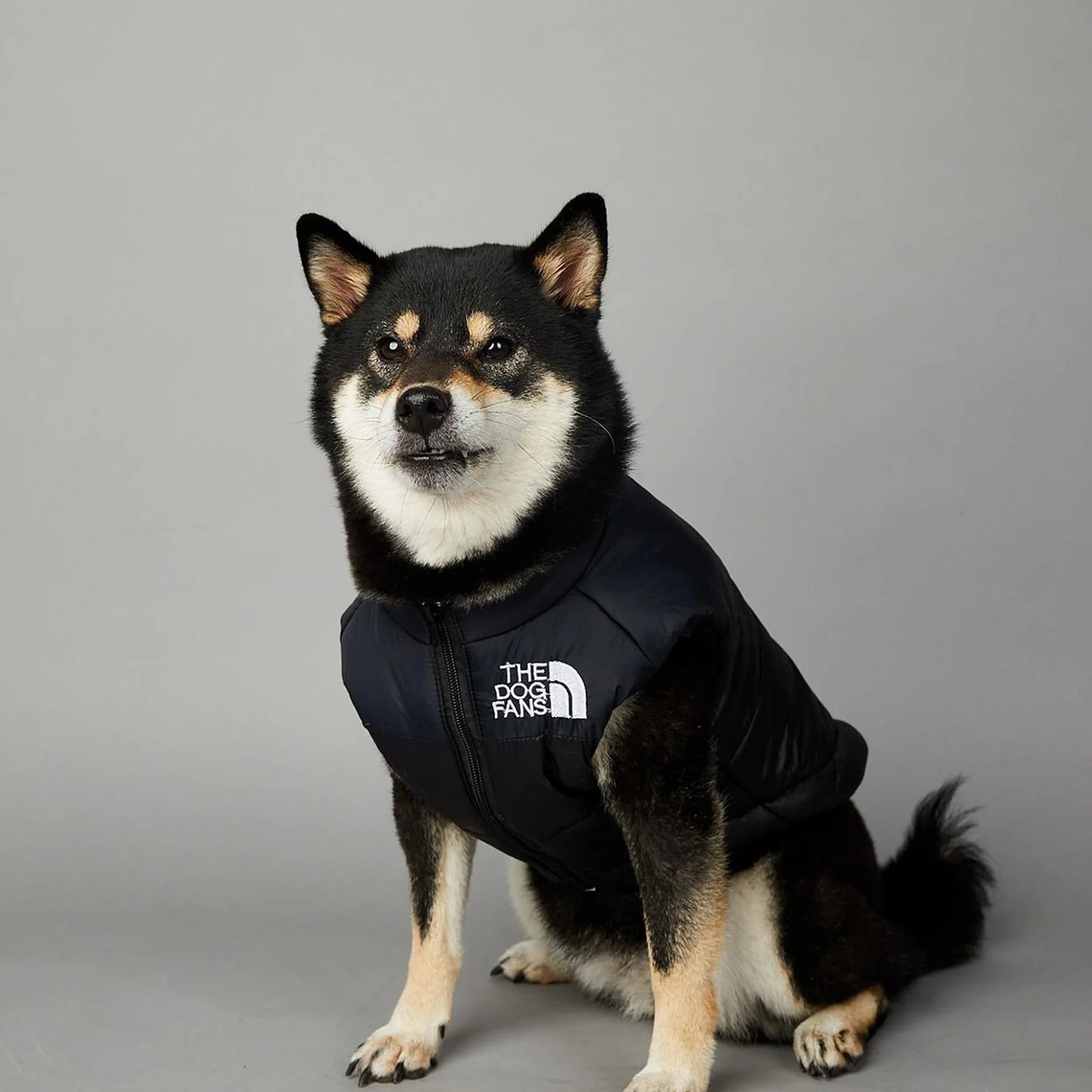 Dog Fans Punch Large Dogs Winter Warm Raincoat Anti Pet Cotton Clothing Windproof Rainproof Dog Coat