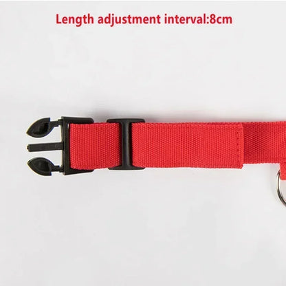 the LUMAGLOW ANTI-LOST COLLAR - LED Glowing Dog Collar, Adjustable Flashing Rechargeable Luminous Collar, Night Anti-Lost Dog Light Harness for Small Dog, Pet Products
