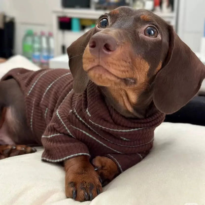 Brown Stripe 2-legged Dachshund Dog Clothes Warm Elastic Sweater for Wiener Dog Clothes Spring Dog Costumes for Sausage