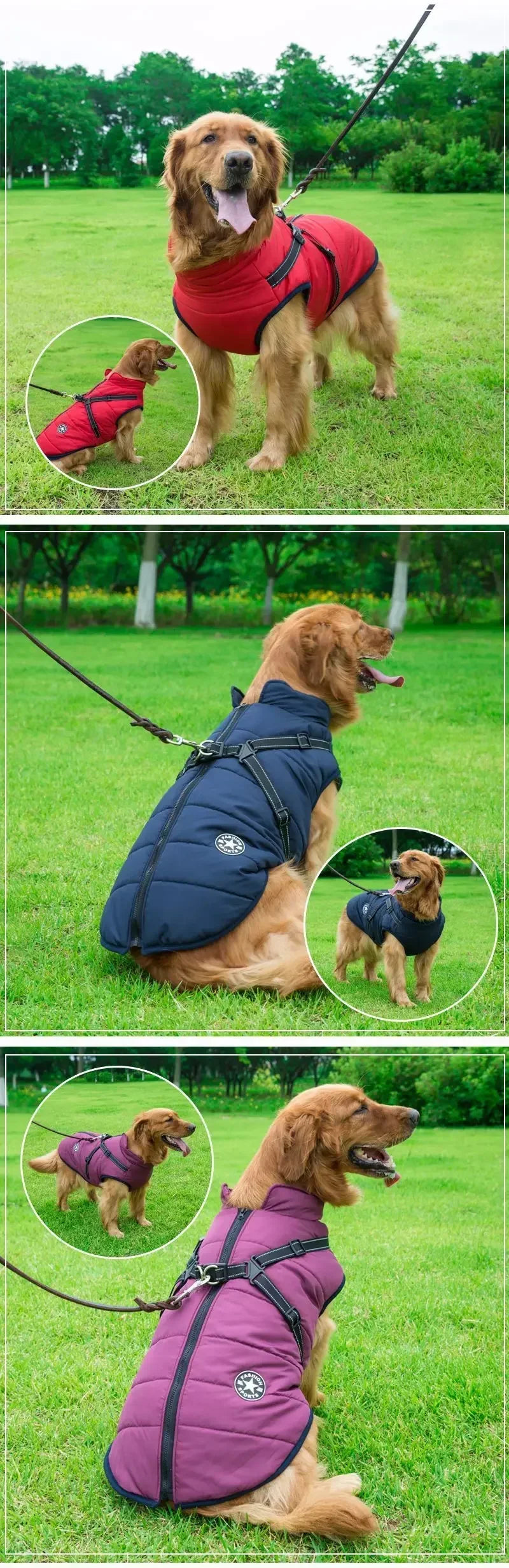 the FASHION SPORTS DOG - Pet Dog Jacket with Harness, Winter Warm Dog Clothes for Labrador, Waterproof Small Dog Coat, Chihuahua/French Bulldog Outfits