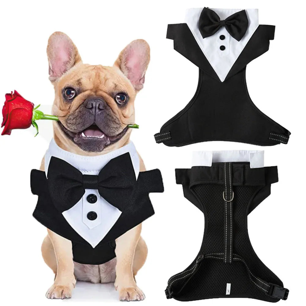 the DON JUAN DOG - Dog Tuxedo Costume, Formal Shirt Dog Wedding Black Jacket Suit, Pet Puppy Prince Ceremony Bow Tie Suit Small Dogs Cat Vest Clothes