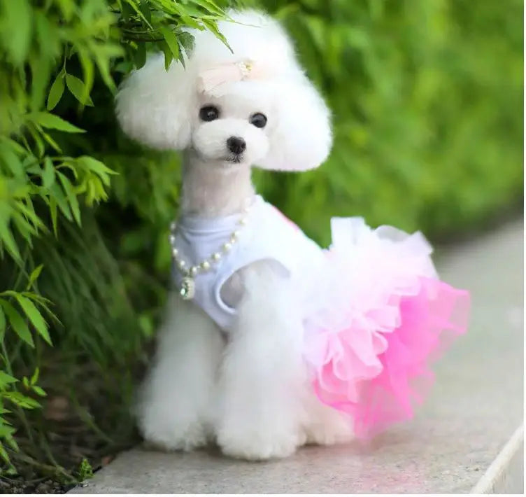 Pet Dress Dog Skirt Eye-catching Breathable Cotton Pretty Bow Knot for Summer Dog Clothes Dresses for Dogs
