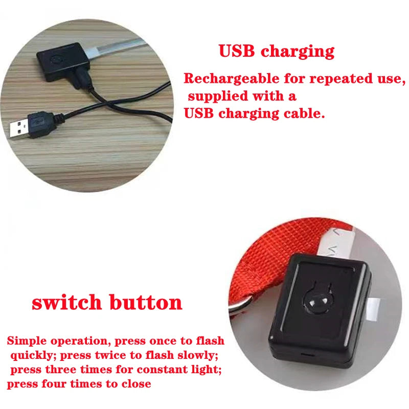 the LUXEGLOW LED SAFTERY COLLAR - USB Charging Glowing Dog Collar with Pendant, Detachable Luxury LED Light, Bright for Small Dogs/Cats, Night Safety Collar