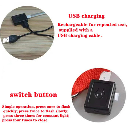 the LUXEGLOW LED SAFTERY COLLAR - USB Charging Glowing Dog Collar with Pendant, Detachable Luxury LED Light, Bright for Small Dogs/Cats, Night Safety Collar