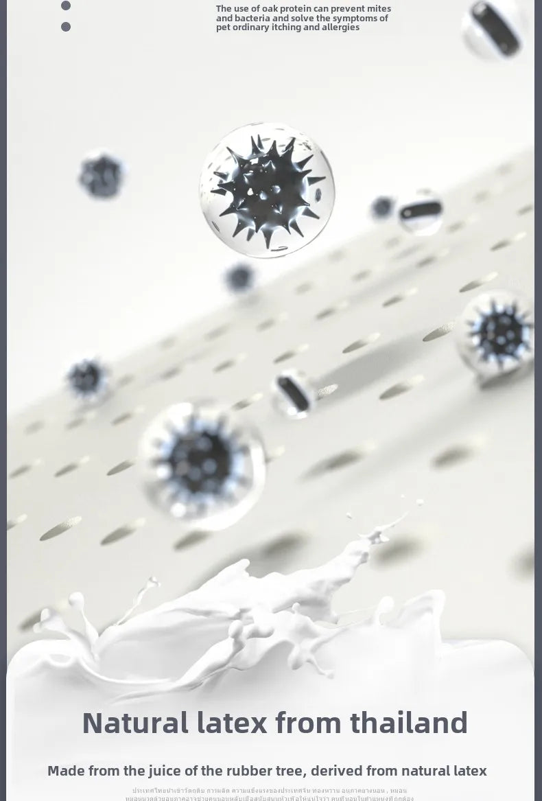 Natural Latex Pet Bed Winter Warm Dog Nest Removable Pet Sleeping Mat Anti-Mite and Antibacterial Cat Bed Soft Foam Pet Mattress