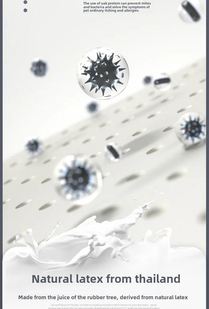 Natural Latex Pet Bed Winter Warm Dog Nest Removable Pet Sleeping Mat Anti-Mite and Antibacterial Cat Bed Soft Foam Pet Mattress