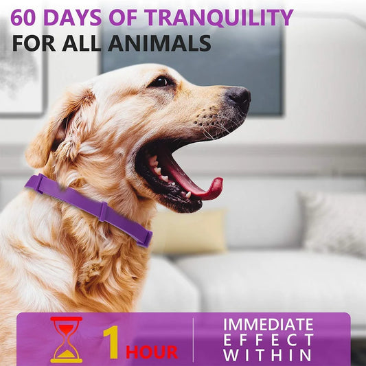 the TRANQUILTAIL CALMING COLLAR - Pet Calming Collar for Cats/Dogs, Adjustable Anxiety Pheromone Reducing Pet Collar, Lasting Natural Calm Relax Soothing Collars