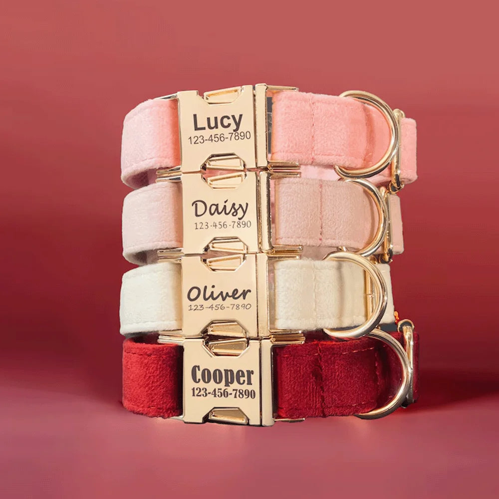 the PAWMARK SIGNATURE ID COLLAR - Custom Engraved Pet Collars, Can Be Engraved with Pet Name, ID and Logo, Suitable for Large/Medium and Small Cats and Dogs