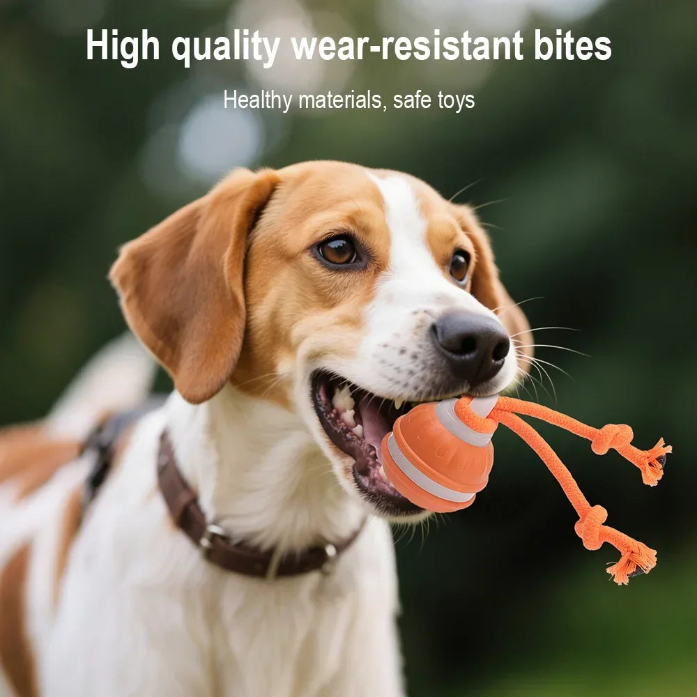 Cat Dog Interactive Ball Toy Automatic Rolling Ball Faux Tail Rechargeable Smart Pet Electric Toy Dog Cat Training Imitate Mouse