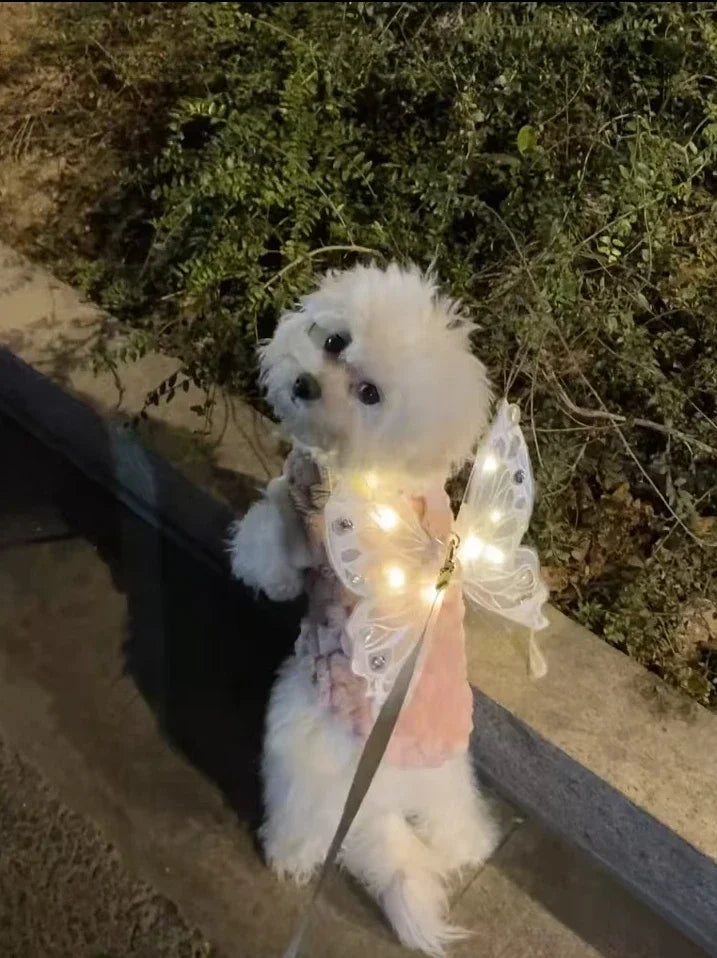 Dog wings glowing butterfly back decoration puppy summer clothes chest back decoration small dog Pomeranian Teddy Bigbear