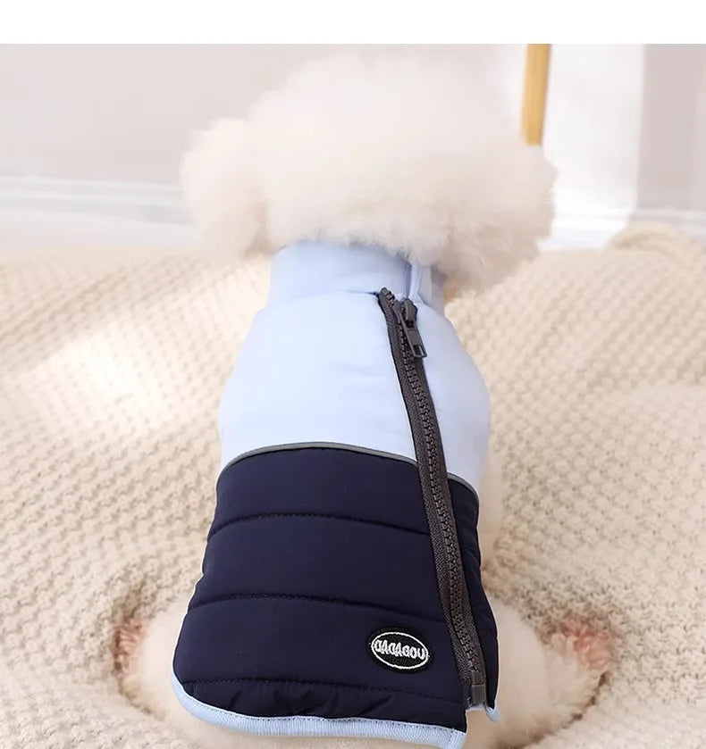 The Dog's Clothes Are A Small Cotton Vest with A Zipper, Similar To A Yorkshire Terrier or Dachshund Pet Clothing.