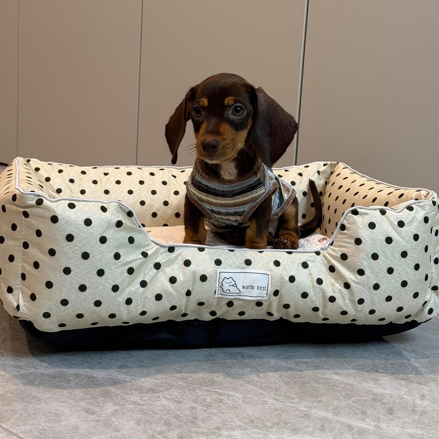 Removable Washable Pet Bed - Polka Dot All Season Mat for Small Medium Dogs Cats, Plush Cushion for Dachshund Puppy