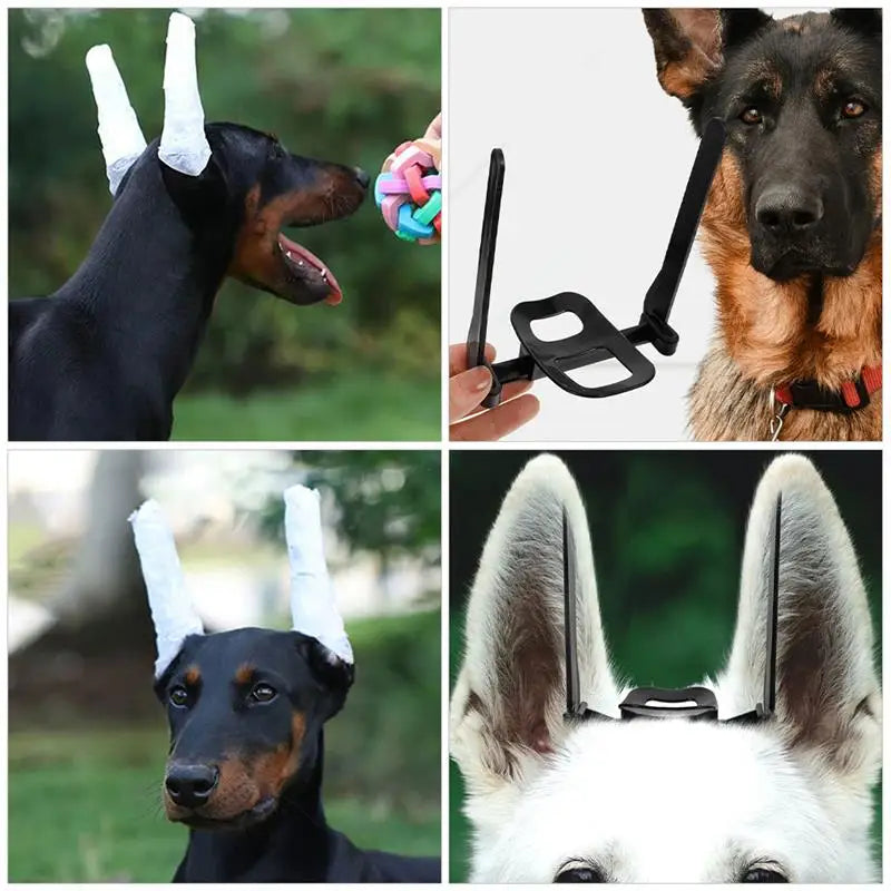 Dog Ears Stand Doberman Ear Stand Up Support Tool Assist Durable Adjustable Dogs Ear Standing Dog Supplies Accessories