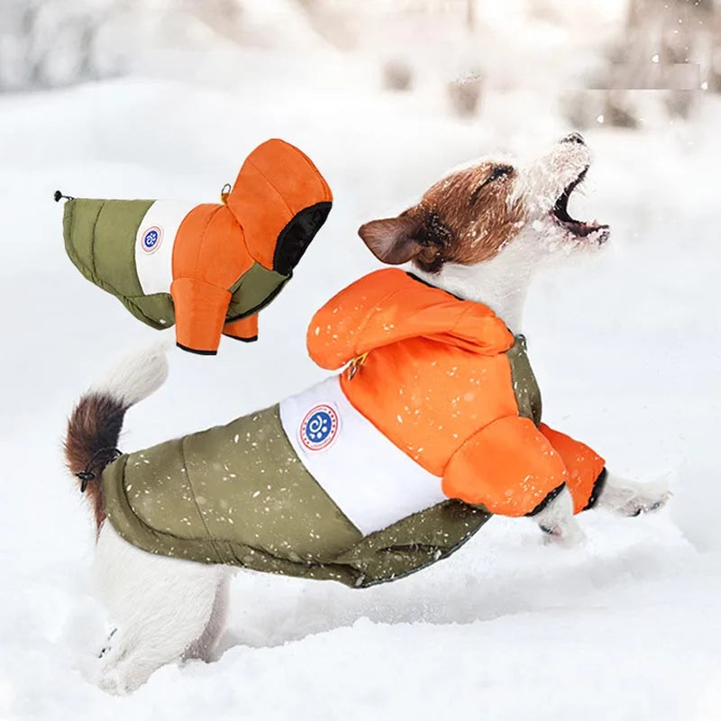 the SLEIGH DOG - Warm Dog Cotton Jacket Outfit, Winter Pet Clothes, Puppy Coat for Small/Medium Dogs and Cats, French Bulldog/Chihuahua/Poodle Clothes
