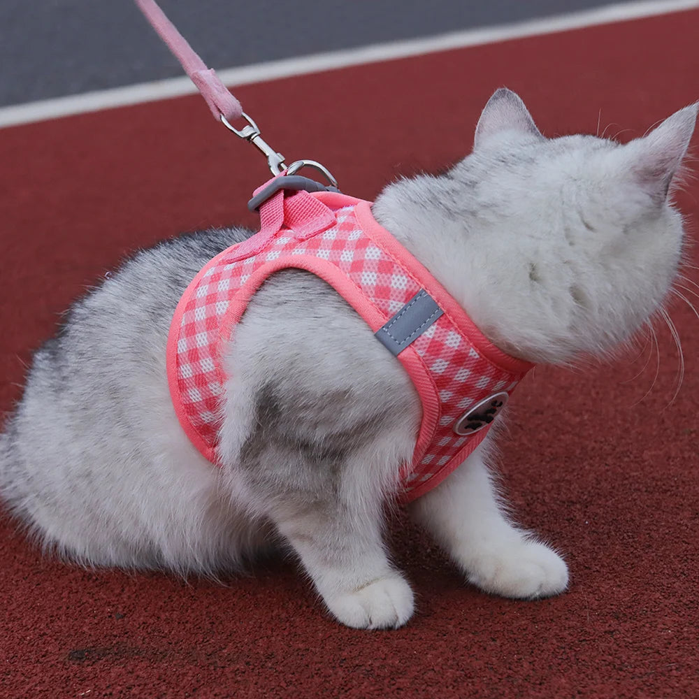 the PLAIDBUDDY HARNESS - Puppy/Kitten Chest Strap, Fresh Plaid Kitten/Puppy Leash, Anti-Break Adjustable Reflective Pet Chest Strap, Small Dog/Kitten Chest