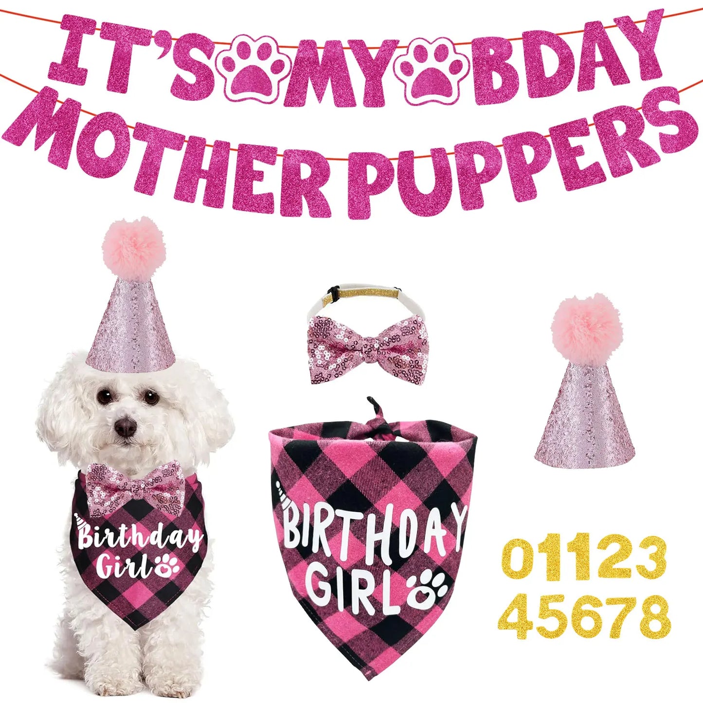 Dog Birthday Party Kit - Bandana, Hat, Bow Tie & Bday Banner for Small Dogs, Puppy Decor with It’s My Bday Signs Boy/Girl