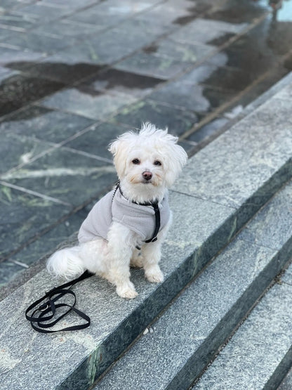 Dog Fleece Vest Chihuahua Winter Clothing For Small Dogs Warm Dachshund Dog Coat For Medium Bulldog Pitbull Maltese Dogs Jumpers