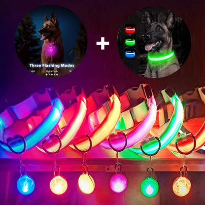 the LUXEGLOW LED SAFTERY COLLAR - USB Charging Glowing Dog Collar with Pendant, Detachable Luxury LED Light, Bright for Small Dogs/Cats, Night Safety Collar