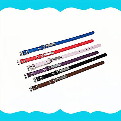 the NAMESAFE EVERYDAY ID COLLAR - Custom Personalized Dog Collar with Name Engraved ID, Anti-Loss Solid PU Leather for All Types of Puppies and Kittens, Pet Supplies