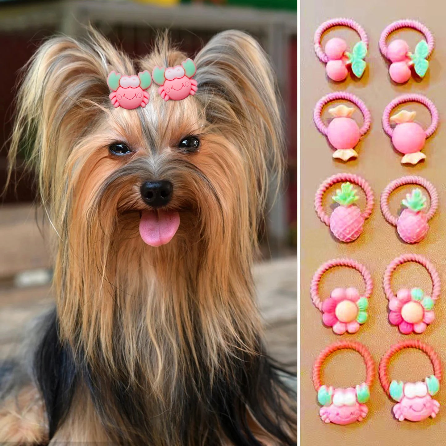 the DAISY DOG BOW - 40PCS Hair Bows, Fashion Cute Small Dog/Cat Hair Bows, Dogs/Cats Hair Accessories, Rubber Bands Bows for Dogs Grooming Products