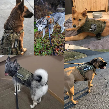 Heavy Duty Tactical Dog Harness, Military Nylon Dog Vest Adjustable Pet Vest for Large Dog Training Breathable Safety