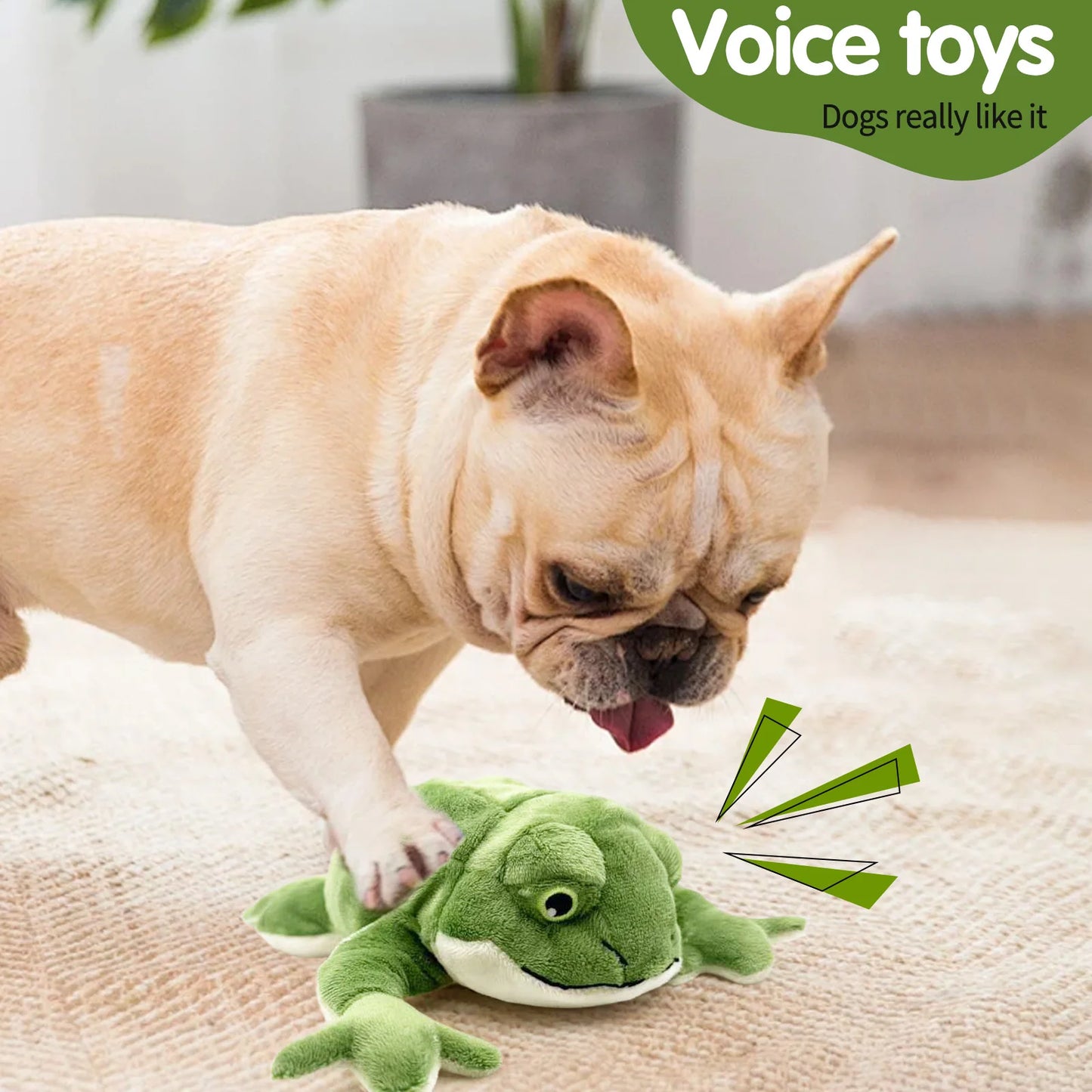 Pet dog plush toy,squeak,game interaction,peace of mind to accompany,release energy,vandal-proof,soft skin does not hurt teeth