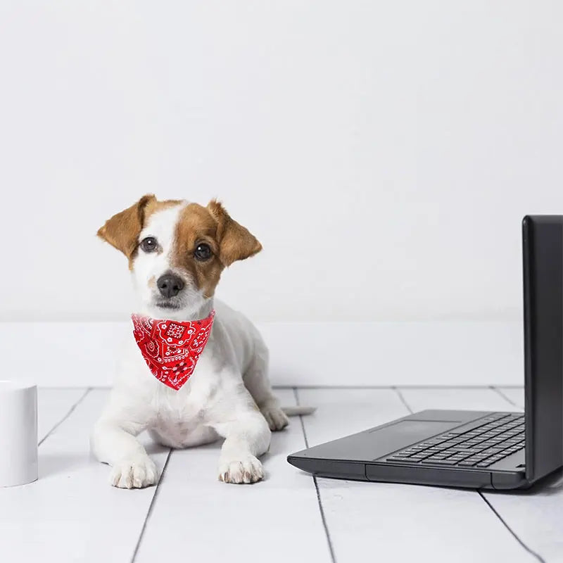 Adjustable Pet Puppy Cat Scarf For Cat Small Medium Large Dogs Bandana Collar Birthday Party Dress Up Pet Accessories