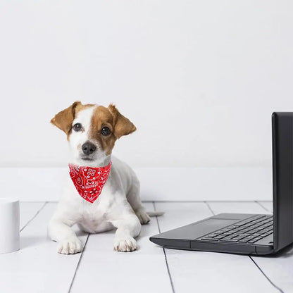 Adjustable Pet Puppy Cat Scarf For Cat Small Medium Large Dogs Bandana Collar Birthday Party Dress Up Pet Accessories