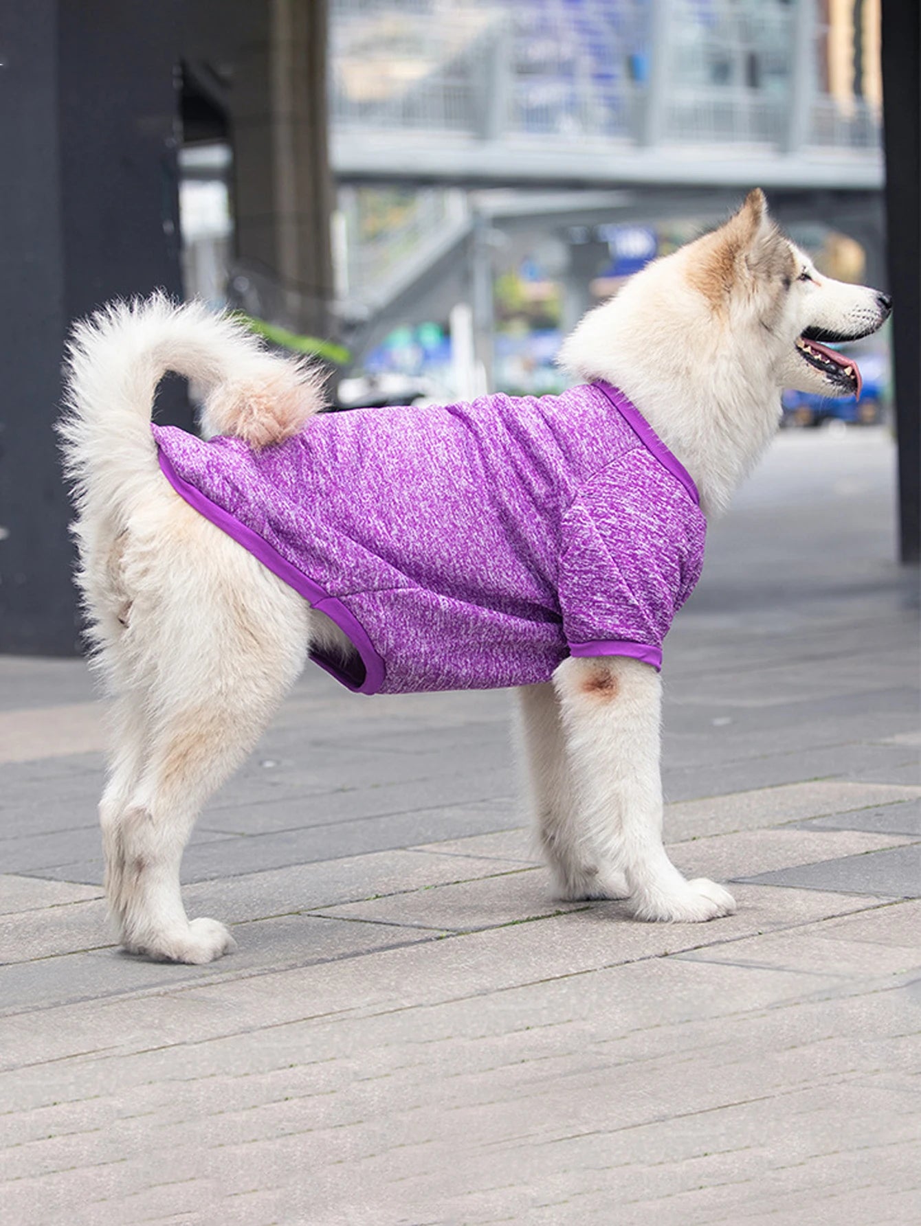Dog Sweatshirts For Medium and Large Pet Golden Satsuma Huskies Border Collies Autumn and Winter Clothes Pet Supplies Clothing