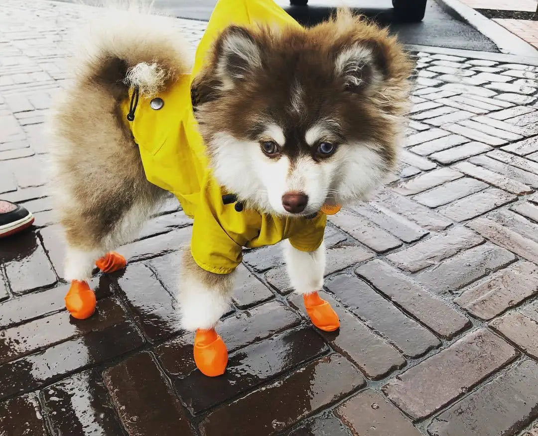 the PENNYWISE COAT - Fashion Raincoat for Dogs, Waterproof Raincoat Jacket Coat, Windproof for Small/Medium/Large Dogs Pet Fashion Clothes