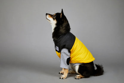 Dog Fans Punch Large Dogs Winter Warm Raincoat Anti Pet Cotton Clothing Windproof Rainproof Dog Coat