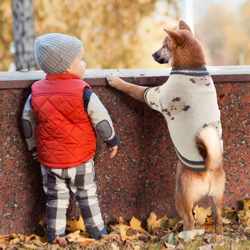 Pet Dog Sweater for Small Medium Dogs Puppy Cat Bear Pattern Cardigan Coat Chihuahua Yorkshire Clothes Outfit Dog Costume