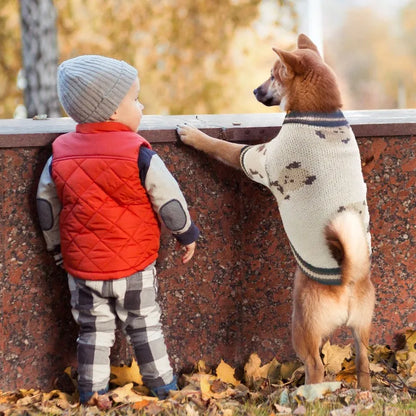 Pet Dog Sweater for Small Medium Dogs Puppy Cat Bear Pattern Cardigan Coat Chihuahua Yorkshire Clothes Outfit Dog Costume